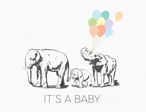 Elephants - It's a Baby!