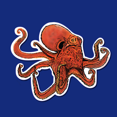 Octopus Vinyl Sticker — 3 inch